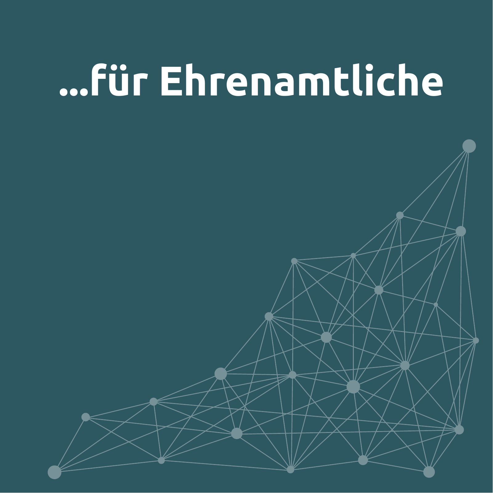 Vorschau Studie zur Qualifizierung von Ehrenamtlichen Seite 62